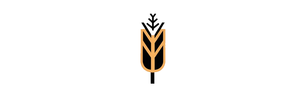 CODECORN Logo